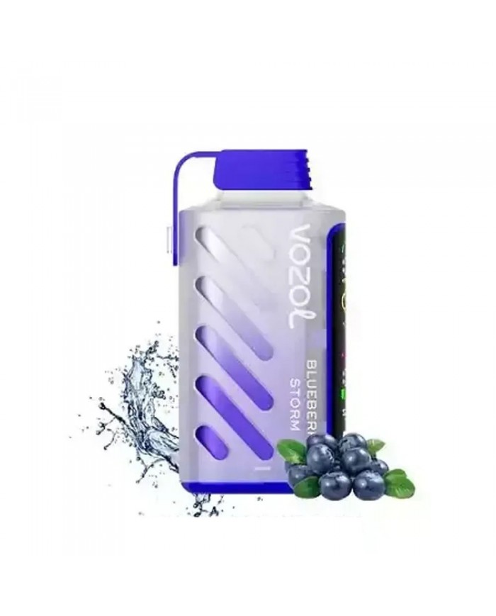 Vozol Gear Power 20000 Blueberry Storm