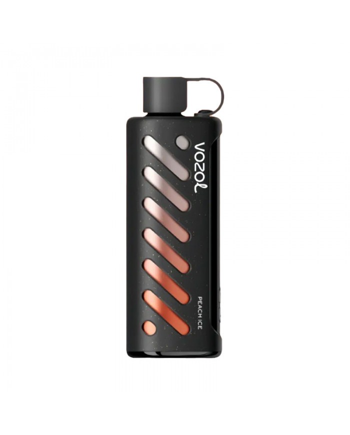 Vozol Gear Shisha 25000 Peach Ice