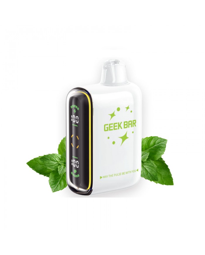 Geek Bar Pulse 15000 Miami Mint