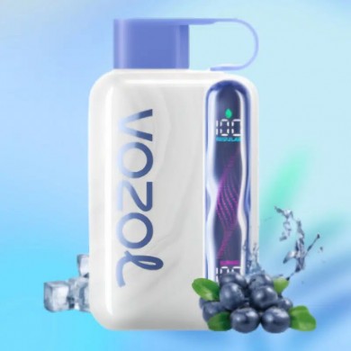 Vozol Star 40000 Blueberry Ice
